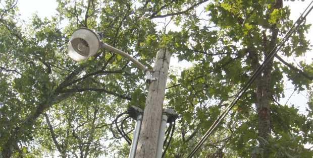 Street light at Caro Drive