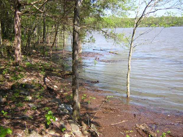 High lake shoreline at Caro Drive