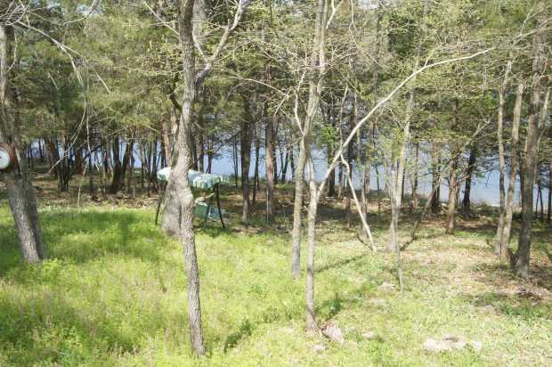 Lake through trees at Caro Drive