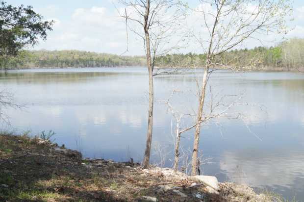 Up the lake from shoreline at Caro Drive