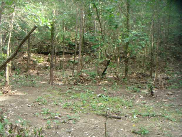 Cliff below Washington Road at Caro Drive