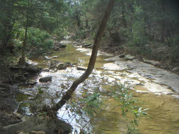 Flowing creek at Caro Drive