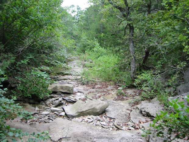 Dry creek at Caro Drive