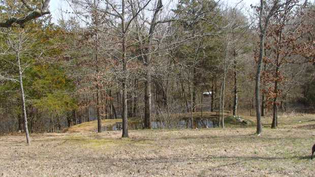 Small pond at Caro Drive