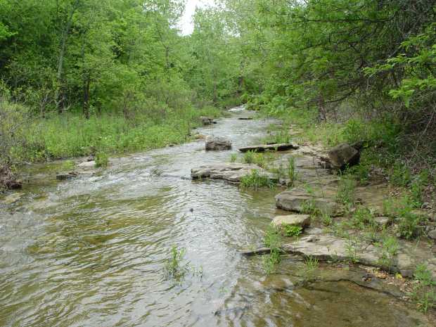 Straight stretch of flowing creek at Caro Drive