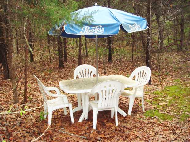 Table in forest at Caro Drive