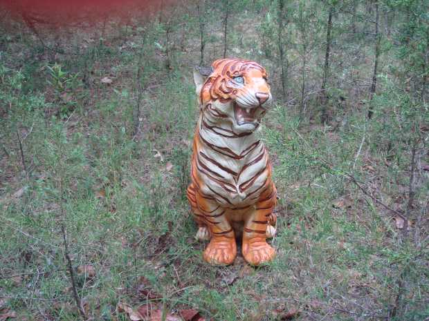 Tiger statue at Caro Drive