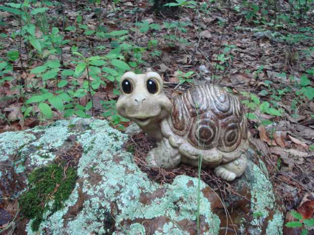 Turtle ornament at Caro Drive