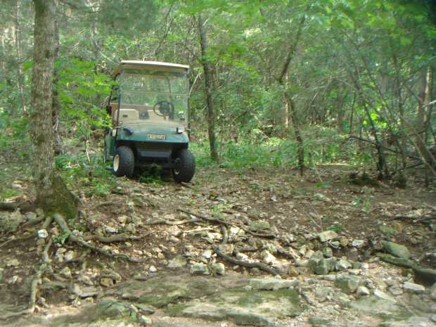 Golf cart in woods at Caro Drive