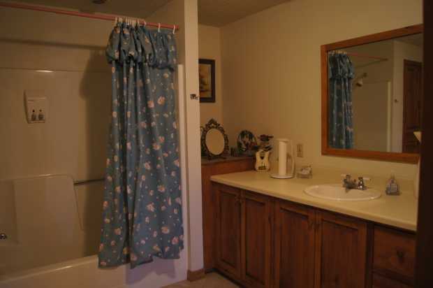 Bathroom downstairs at Caro Drive