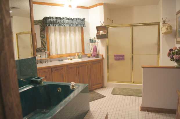 Master bathroom at Caro Drive